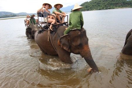 Foreign tourists excited riding elephants